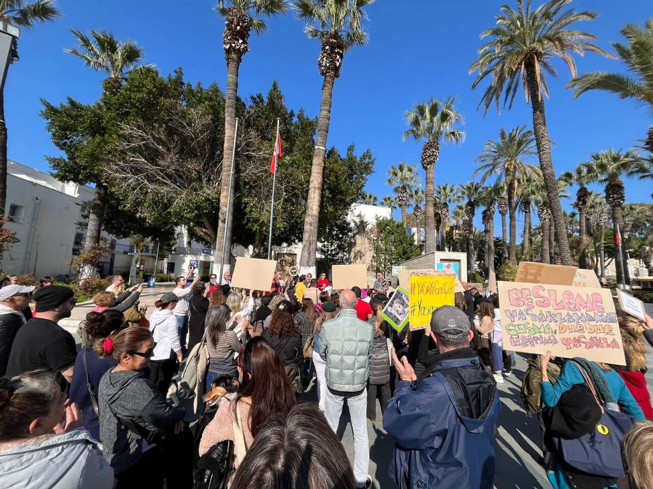 Muğla’da Hayvan Hakları Tepkisi: “Sessiz Canların Sesi Oluyoruz” 7